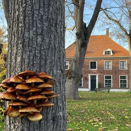 B&B Huize Placida Boxmeer Buitenkant foto